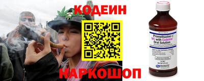 индика Гусь-Хрустальный