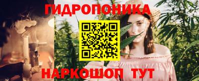 индика Гусь-Хрустальный