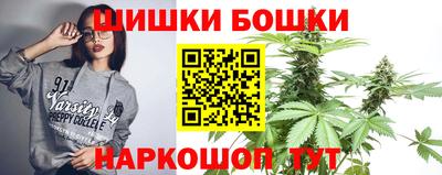 индика Гусь-Хрустальный