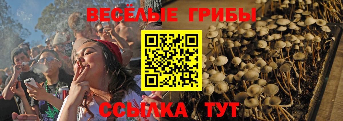 Галлюциногенные грибы Psilocybe Симферополь
